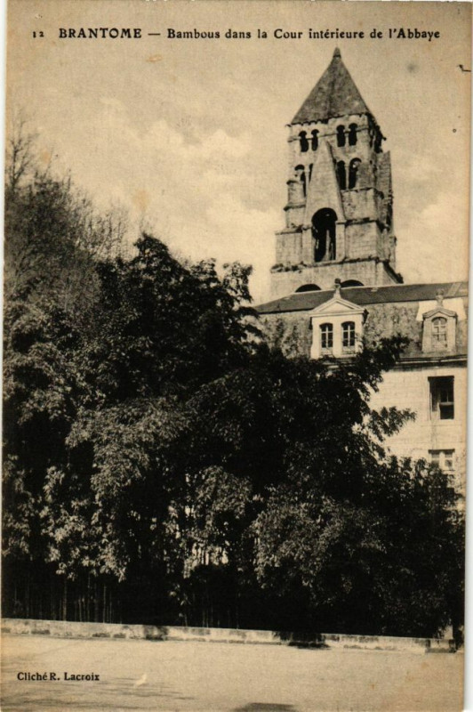 Carte postale ancienne Brantome-Bambous dans la Cour intérieure de l'Abbaye