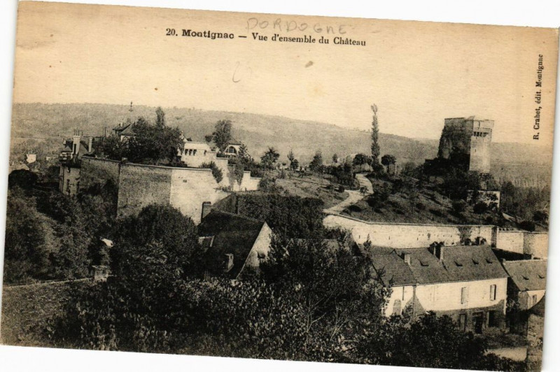 Carte postale ancienne Montignac-Vue d'ensemble du Chateau à Montignac