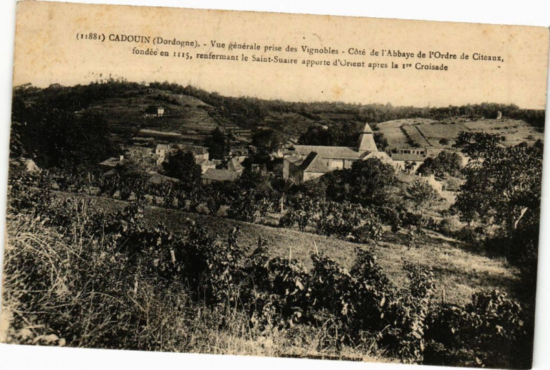 Carte postale ancienne Cadouin-Vue générale prise des Vignobles