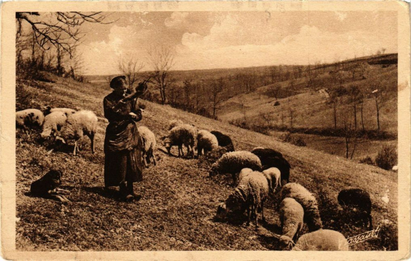 Carte postale ancienne En Perigord-Une vieille Bergere