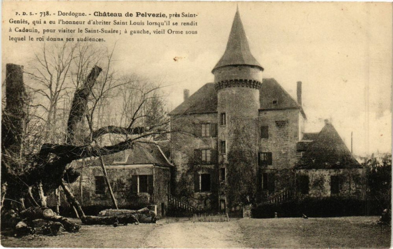 Carte postale ancienne Dordogne - Chateau de Pelvezie