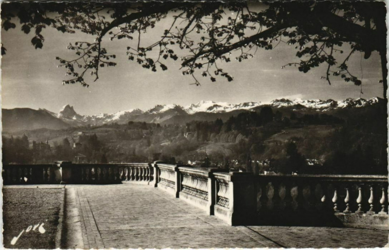 Carte postale ancienne Pau -sur-le Boulevard des Pyrenées le matin à Pau