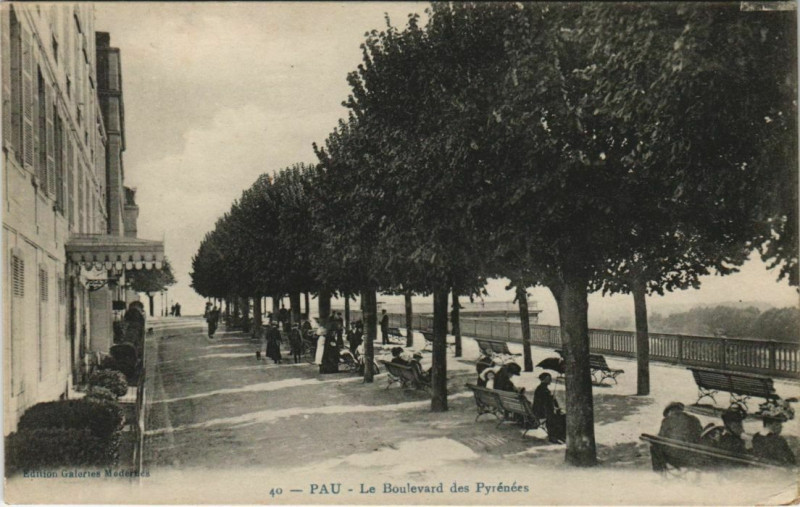 Carte postale ancienne Pau - Le Boulevard des Pyrenées à Pau