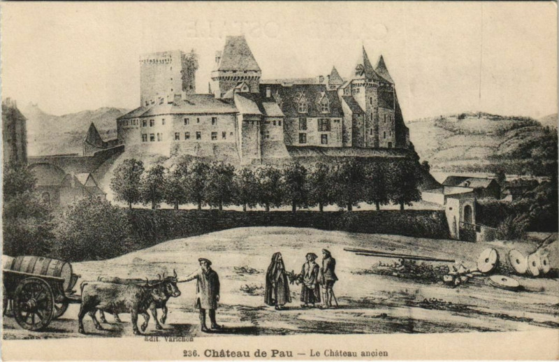 Carte postale ancienne Chateau de Pau - Le Chateau ancien à Pau