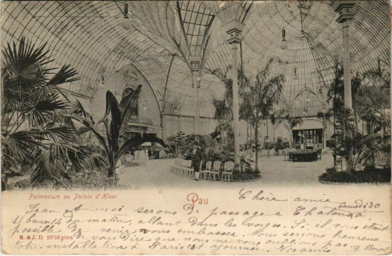 Carte postale ancienne Pau - Palmarium au Palais d'Hiver à Pau