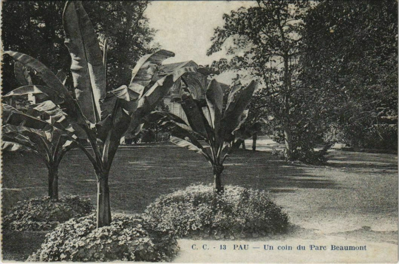 Carte postale ancienne Pau - Un coin du Parc Beaumont à Pau