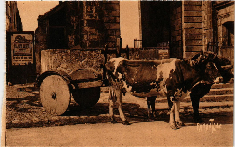 Carte postale ancienne Attelage Basque