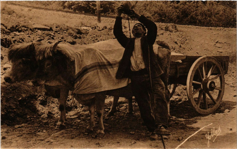 Carte postale ancienne Pays Basque - Le Baveur