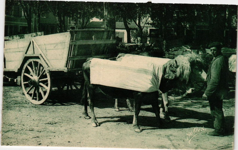 Carte postale ancienne Pays Basque - Attelage