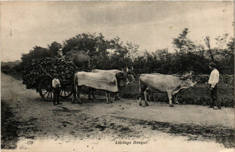 Carte postale ancienne Attelage Basque