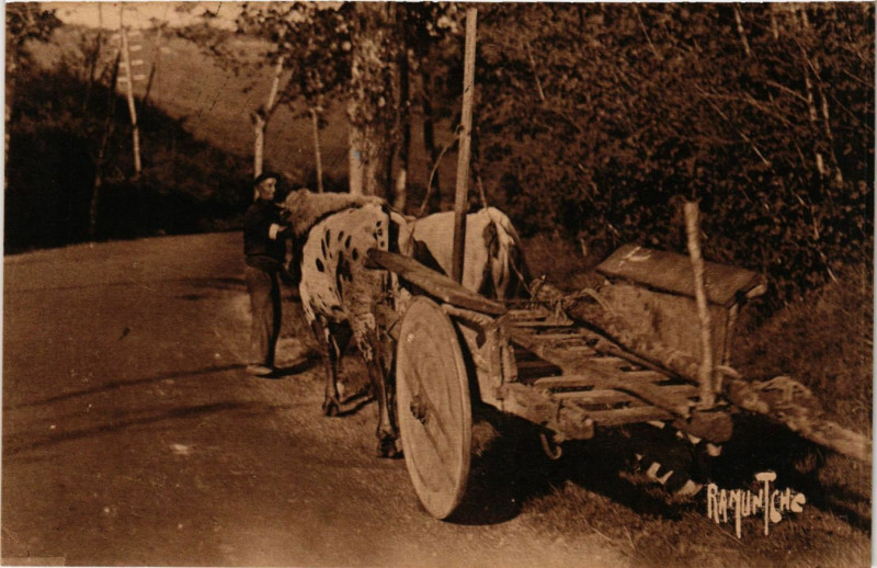 Carte postale ancienne Attelage Basque