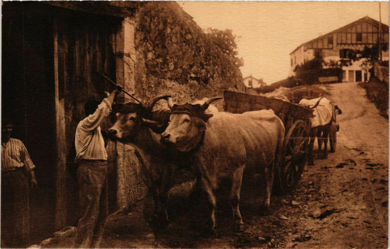 Carte postale ancienne Au Pays Basque