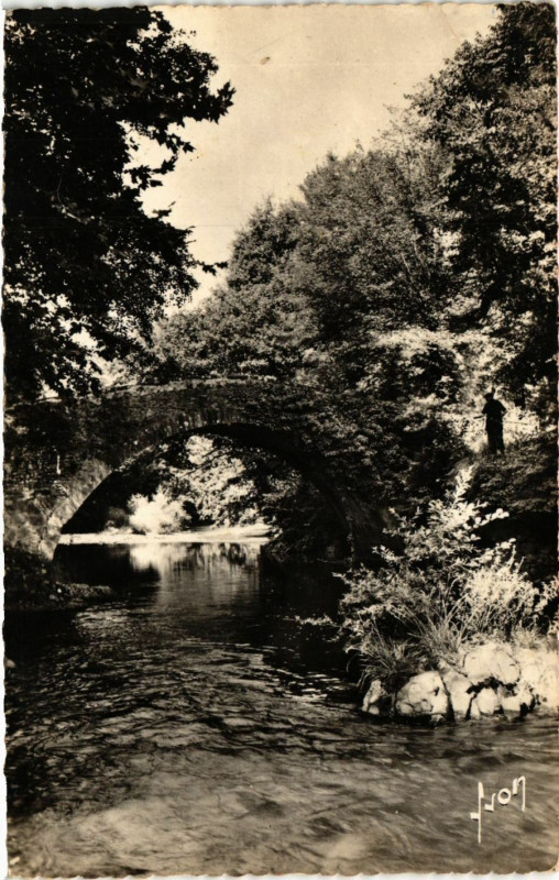 Carte postale ancienne Saint-Jean-Pied-de-Port - La Nive et le Pont romain à Saint-Jean-Pied-de-Port