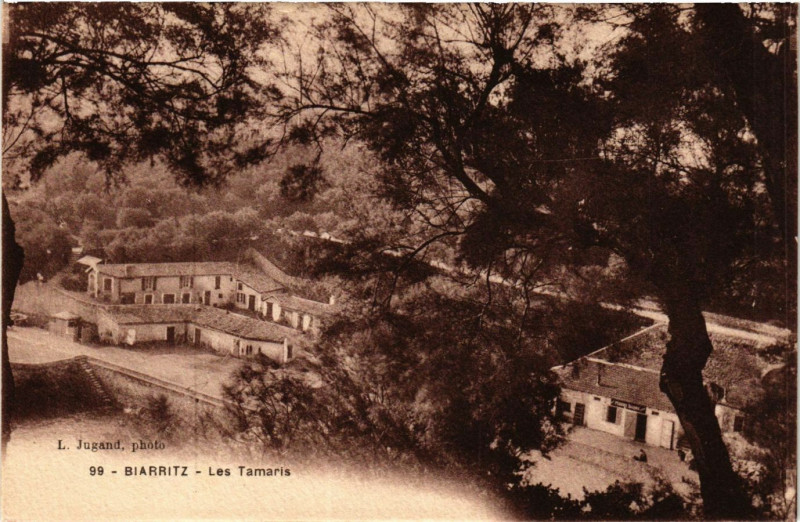 Carte postale ancienne Biarritz - Les Tamaris à Biarritz