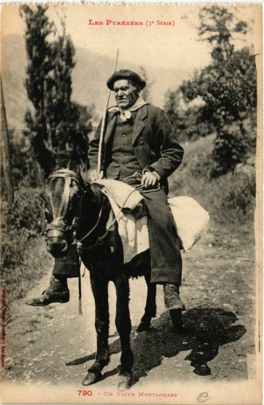 Carte postale ancienne Un Vieux Montagnard à Mont