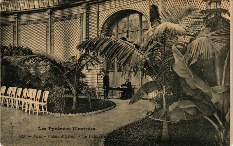 Carte postale ancienne Pau Palais d'Hiver-Le Palmarium à Pau