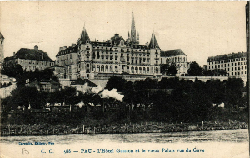 Carte postale ancienne Pau L'Hotel Gassion et le vieux Palais vus du Gave à Pau