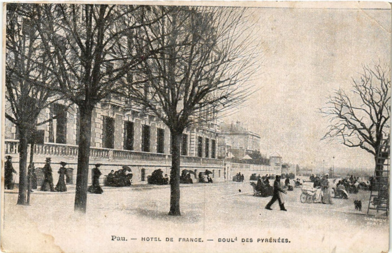 Carte postale ancienne Pau Hotel de France-Boulevard des Pyrenées à Pau