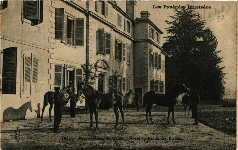 Carte postale ancienne Pau Haras de Gelos-Avant la Revue des Etalons à Pau