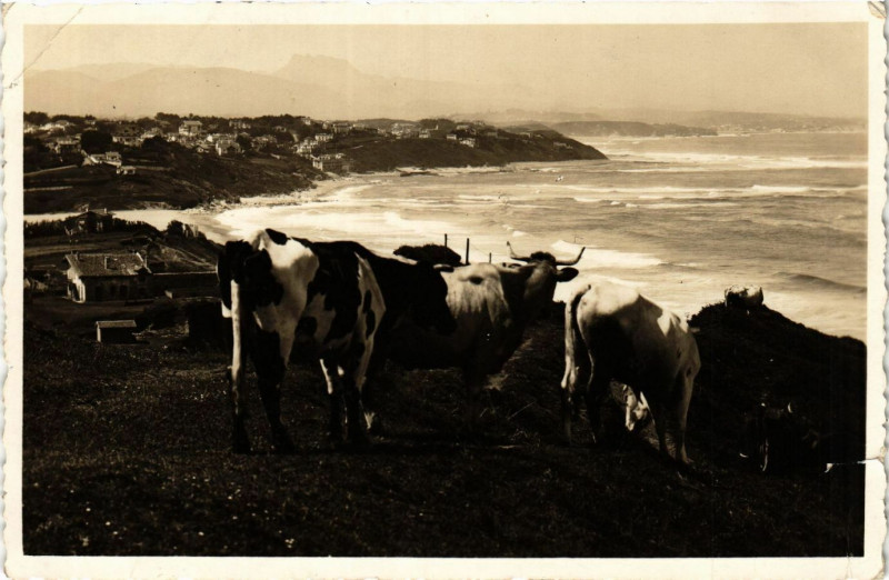 Carte postale ancienne Carte photo