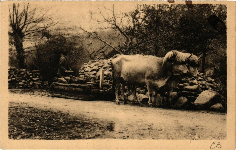 Carte postale ancienne Cambo-les-Bains Traineau empuoye exclusivement dans la Montagne à Cambo-les-Bains