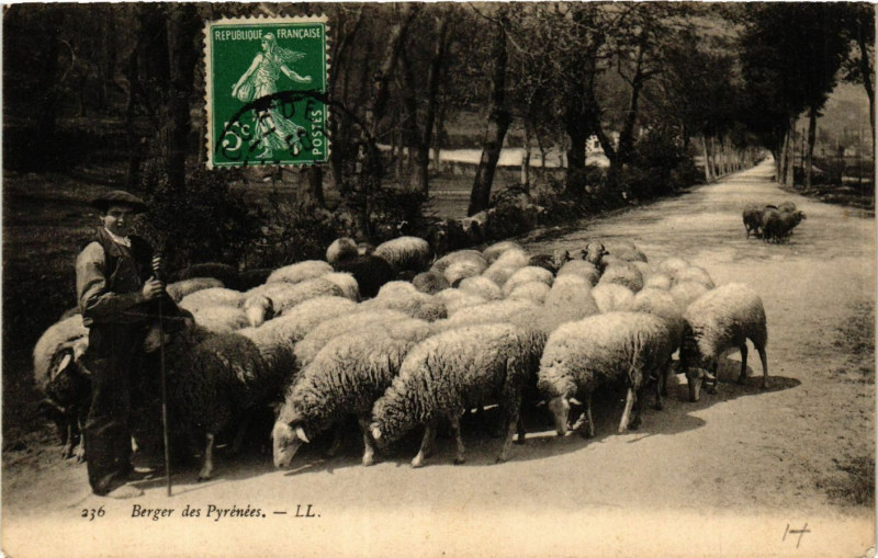 Carte postale ancienne Berger des Pyrenées à Ger