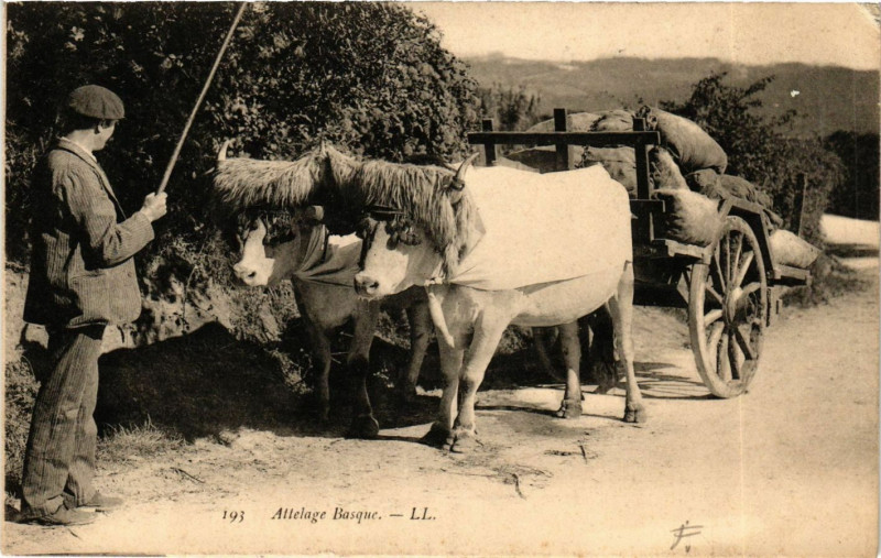 Carte postale ancienne Attelage Basque