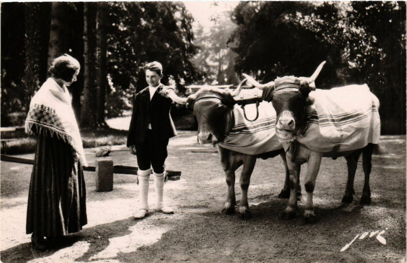 Carte postale ancienne Toute la France - Editions Jove Pau - Grand diplome d'honneur Expos à Pau