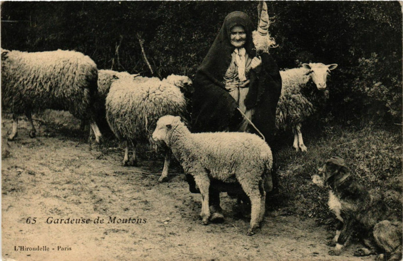 Carte postale ancienne Gardeus de Moutons
