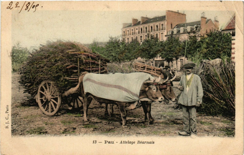 Carte postale ancienne Pau - Attelage BEARNais à Pau