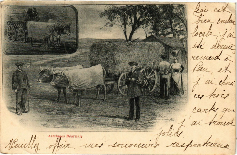 Carte postale ancienne Attelages Bernais