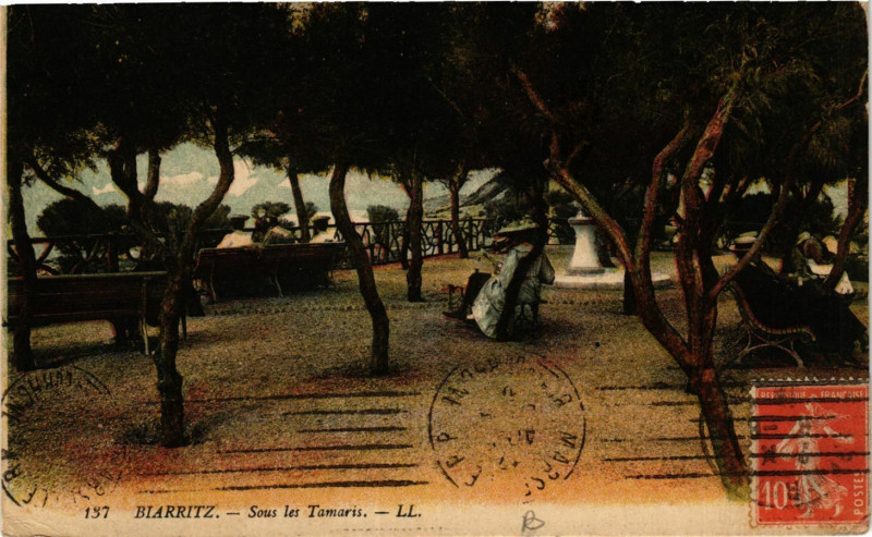 Carte postale ancienne Biarritz Sous les Tamaris à Biarritz