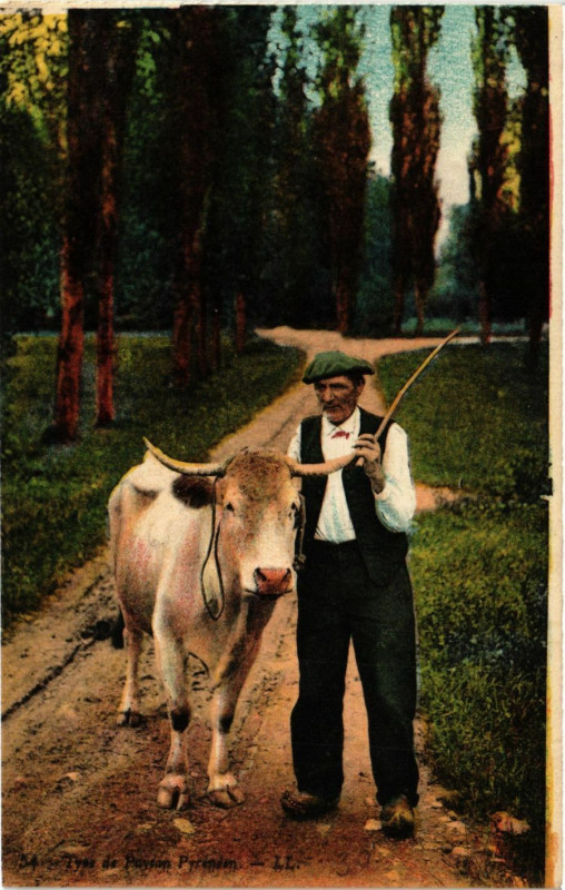 Carte postale ancienne Types de Paysan Pyrenées
