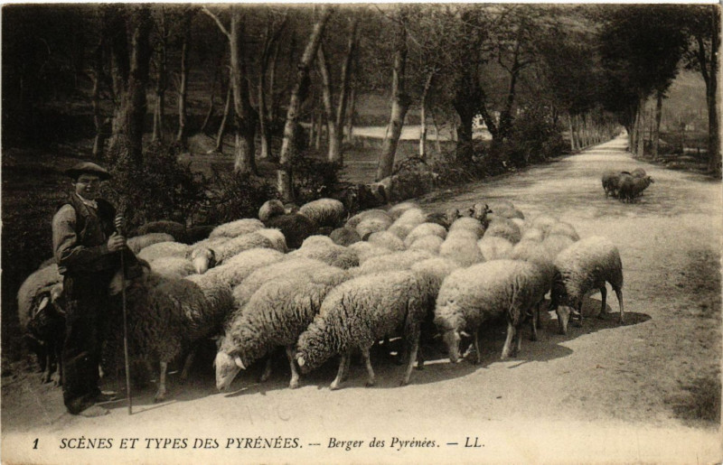 Carte postale ancienne Scenes et Types des Pyrenées - Berger des Pyrenées à Ger