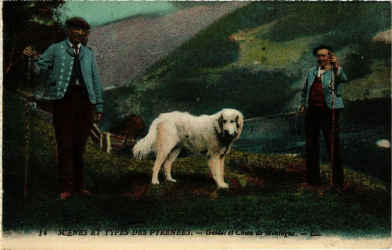 Carte postale ancienne Scenes et Types des Pyrenées