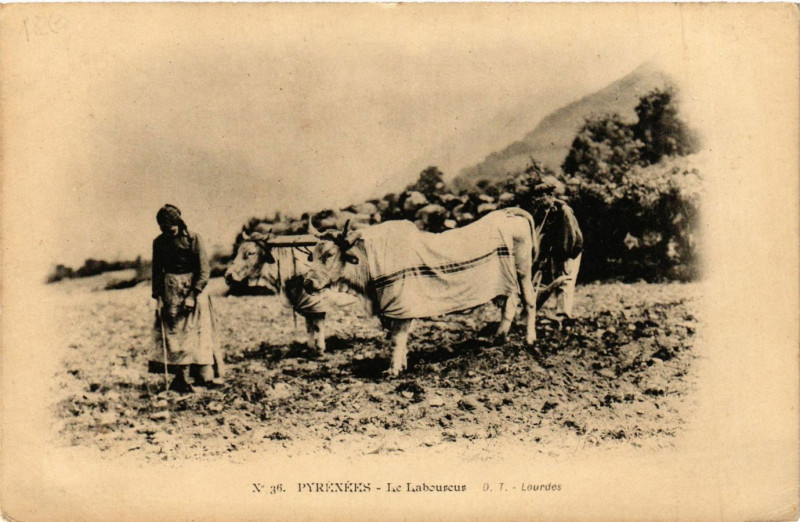 Carte postale ancienne Pyrenées - Le Laboureur