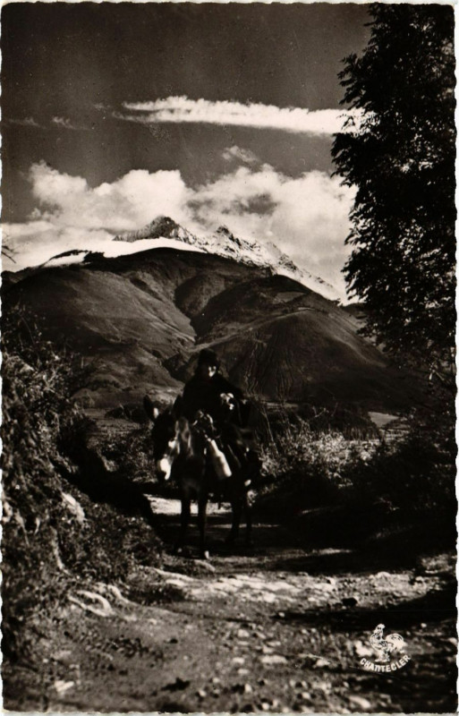Carte postale ancienne Les Pyrenées - Haute Montagne à Mont
