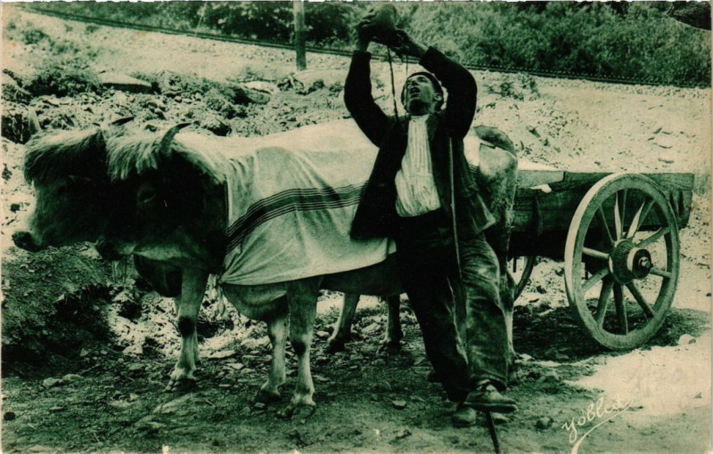 Carte postale ancienne Pays Basque Le Buveur