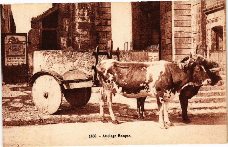 Carte postale ancienne Attelage Basque