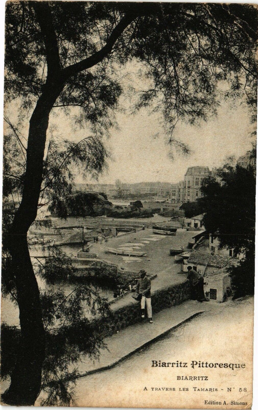 Carte postale ancienne Biarritz - A Travers les Tamaris à Biarritz