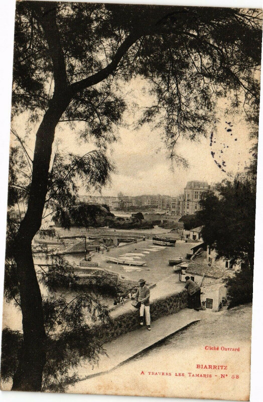 Carte postale ancienne Biarritz - A Travers les Tamaris à Biarritz