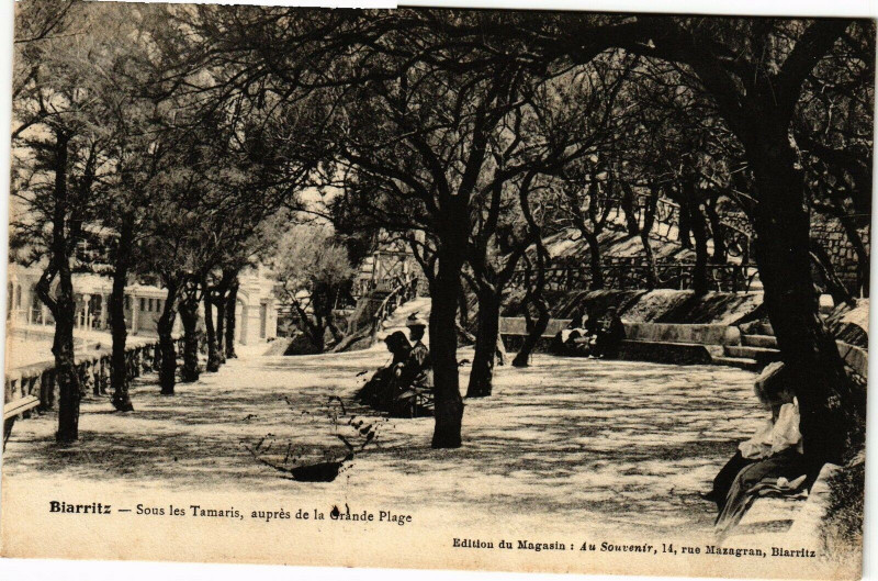 Carte postale ancienne Biarritz - Sous les Tamaris aupres de la Orlande Plage à Biarritz