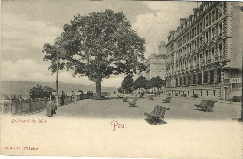 Carte postale ancienne Pau - Boulevard du Midi à Pau