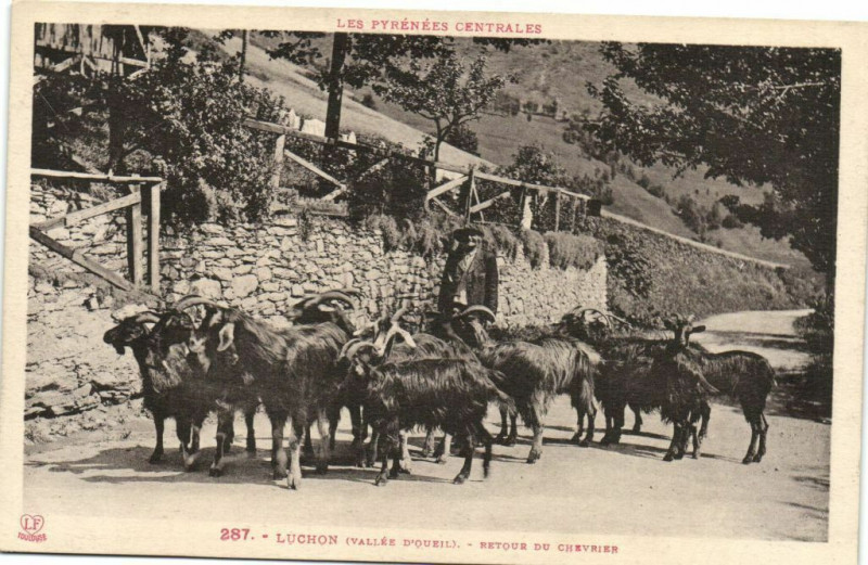 Carte postale ancienne Luchon (Vallée d'Queil) Retours du Chevries à Lée
