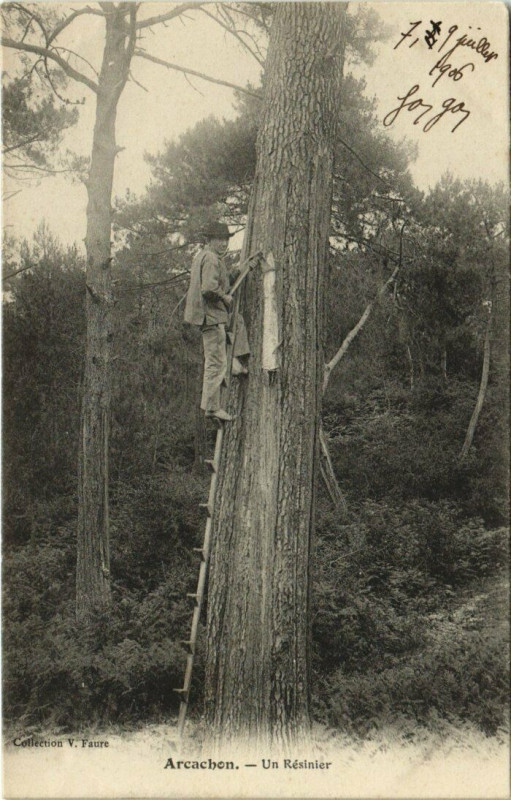 Carte postale ancienne Arcachon - un Résinier à Arcachon
