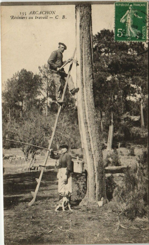 Carte postale ancienne Arcachon - Résiniers au travail à Arcachon
