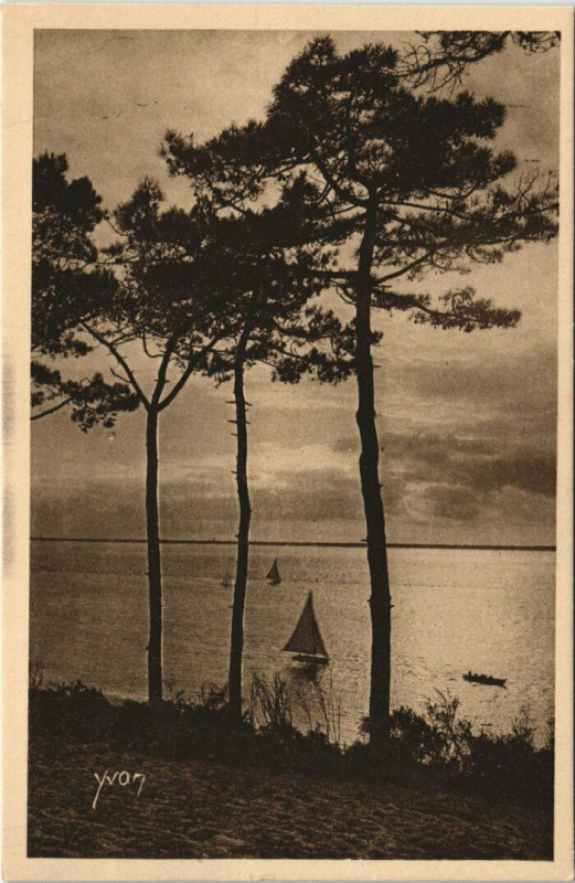 Carte postale ancienne Arcachon - Les Abatilles - Trois Pins sur la Mer à Arcachon