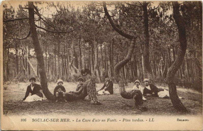 Carte postale ancienne Soulac-sur-Mer-La Cure d'air en Foret-Pins tordus à Soulac-sur-Mer