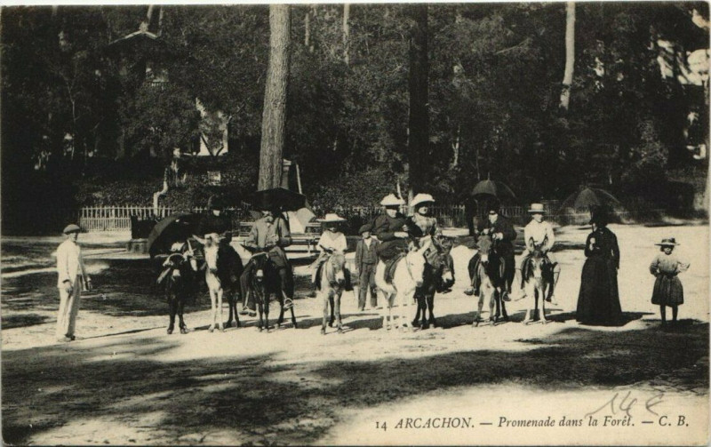 Carte postale ancienne Arcachon-Promenade dans la Foret à Arcachon