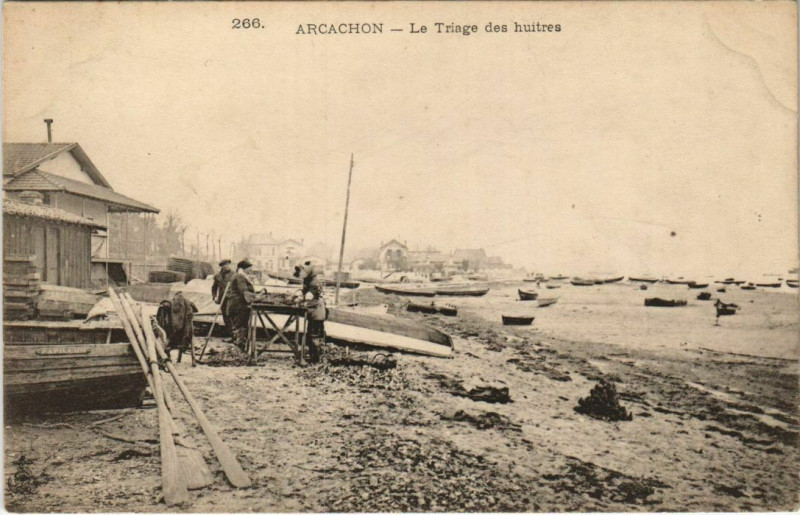 Carte postale ancienne Arcachon-Le Triage des huitres à Arcachon